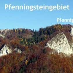  Pfennigstein